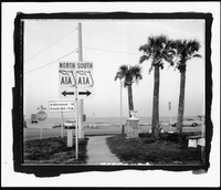 019-Middle of Nowhere, Flagler, FL