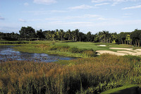 Masters Course - Nicklaus
Manila Southwoods Philippines