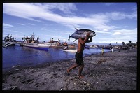 Unloading Tuna in General Santos City, Southern Mindanao for Time Magazine