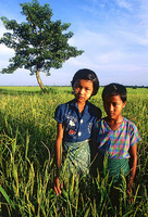 Irrawaddy Delta, Burma 1992 for Time Magazine